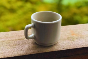 Coffee, Cacao, and Trekking Tour in Minca: Nature, Crops, and Production