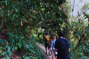 Coffee, Cacao, and Trekking Tour in Minca: Nature, Crops, and Production