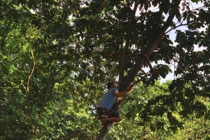 Coffee, Cacao, and Trekking Tour in Minca: Nature, Crops, and Production