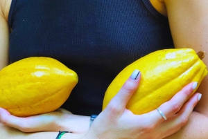 Kaffe-, kakao- og trekkingtur i Minca: Natur, afgrøder og produktion