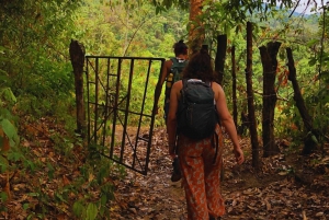 Kaffe-, kakao- og trekkingtur i Minca: Natur, afgrøder og produktion