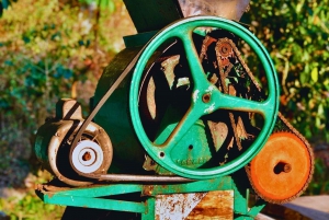 Kaffe-, kakao- og trekkingtur i Minca: Natur, afgrøder og produktion