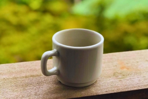 Kaffe-, kakao- og trekkingtur i Minca: Natur, afgrøder og produktion