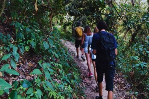 Kaffe-, kakao- og trekkingtur i Minca: Natur, afgrøder og produktion