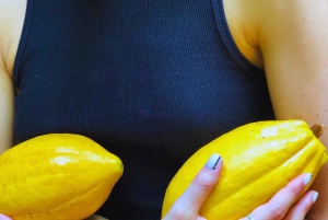 Kaffe-, kakao- og trekkingtur i Minca: Natur, afgrøder og produktion