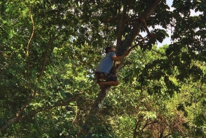 Kaffe-, kakao- og trekkingtur i Minca: Natur, afgrøder og produktion