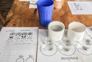 Coffee Farm Tour at Finca El Ocaso from Salento