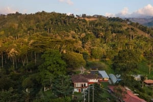 Coffee Farm Tour at Finca El Ocaso from Salento