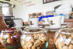 サレント発 フィンカ・エル・オカソのコーヒー農園ツアー