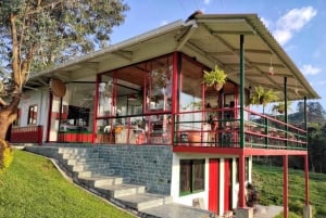 サレント発 フィンカ・エル・オカソのコーヒー農園ツアー