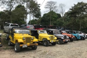 サレント発 フィンカ・エル・オカソのコーヒー農園ツアー