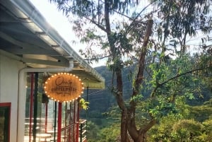 サレント発 フィンカ・エル・オカソのコーヒー農園ツアー