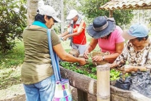 サレント発 フィンカ・エル・オカソのコーヒー農園ツアー
