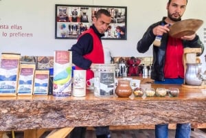 サレント発 フィンカ・エル・オカソのコーヒー農園ツアー