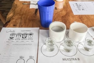 サレント発 フィンカ・エル・オカソのコーヒー農園ツアー