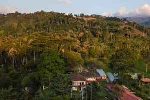 サレント発 フィンカ・エル・オカソのコーヒー農園ツアー