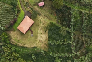 Kahvi- ja jeeppikierros Finca Mariposassa Jardínissa