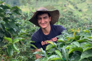 Kahvi- ja jeeppikierros Finca Mariposassa Jardínissa