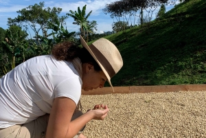 Kahvi- ja jeeppikierros Finca Mariposassa Jardínissa