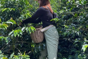 Kahvi- ja jeeppikierros Finca Mariposassa Jardínissa