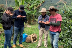 Kahvi- ja jeeppikierros Finca Mariposassa Jardínissa