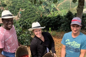 Kahvi- ja jeeppikierros Finca Mariposassa Jardínissa