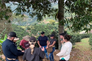 Kahvi- ja jeeppikierros Finca Mariposassa Jardínissa