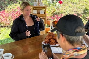 Kahvi- ja jeeppikierros Finca Mariposassa Jardínissa