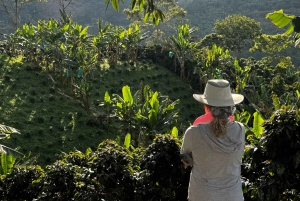 Kahvi- ja jeeppikierros Finca Mariposassa Jardínissa