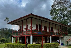 Tournée de café à la Finca El Ocaso Salento : Finca Tradicional-Español
