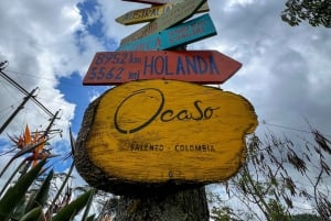 Tournée de café à la Finca El Ocaso Salento : Finca Tradicional-Español