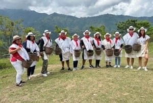 メデジン発、ランチとコーヒーテイスティング付きコーヒーツアー