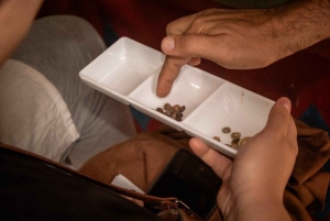 メデジン発、ランチとコーヒーテイスティング付きコーヒーツアー