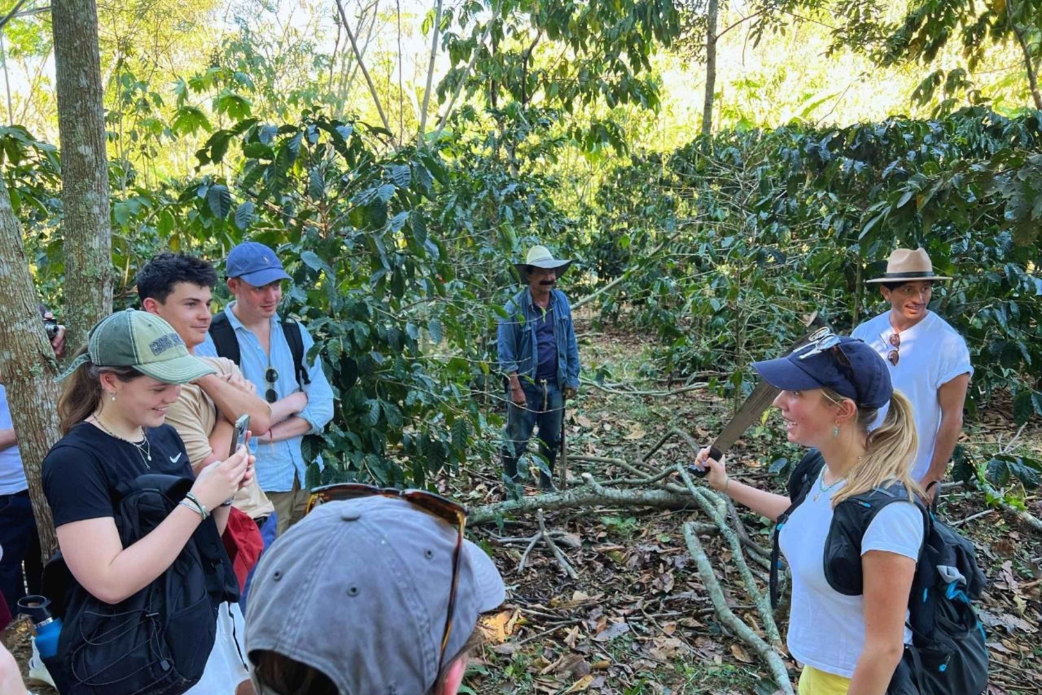 Кофейный тур в Баричаре: традиции, экологичность и местный вкус