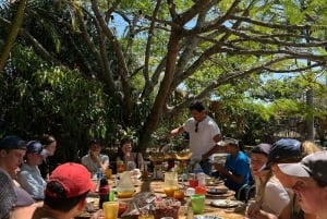 Coffee Tour in Barichara: Tradition, Sustainability and Local Flavor