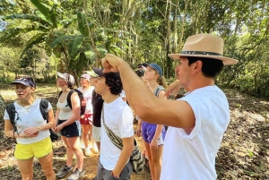 Кофейный тур в Баричаре: традиции, экологичность и местный вкус