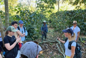 Кофейный тур в Баричаре: традиции, экологичность и местный вкус