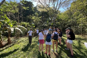 Кофейный тур в Баричаре: традиции, экологичность и местный вкус