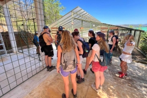 Кофейный тур в Баричаре: традиции, экологичность и местный вкус