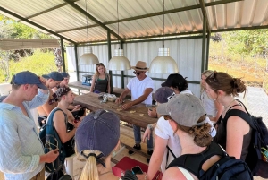 Кофейный тур в Баричаре: традиции, экологичность и местный вкус