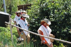 Coffee Tour in Medellin with transportation and meals