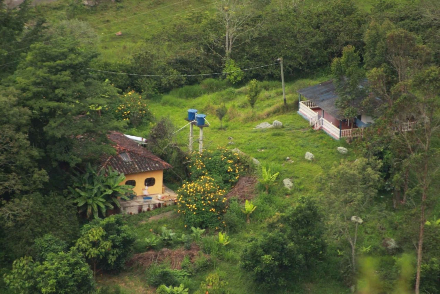 Colombia: Att vara samlare av vilda ätbara växter