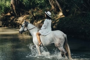 Колумбия: конная прогулка к реке + обед
