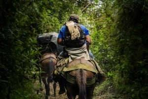 Колумбия: конная прогулка к реке + обед