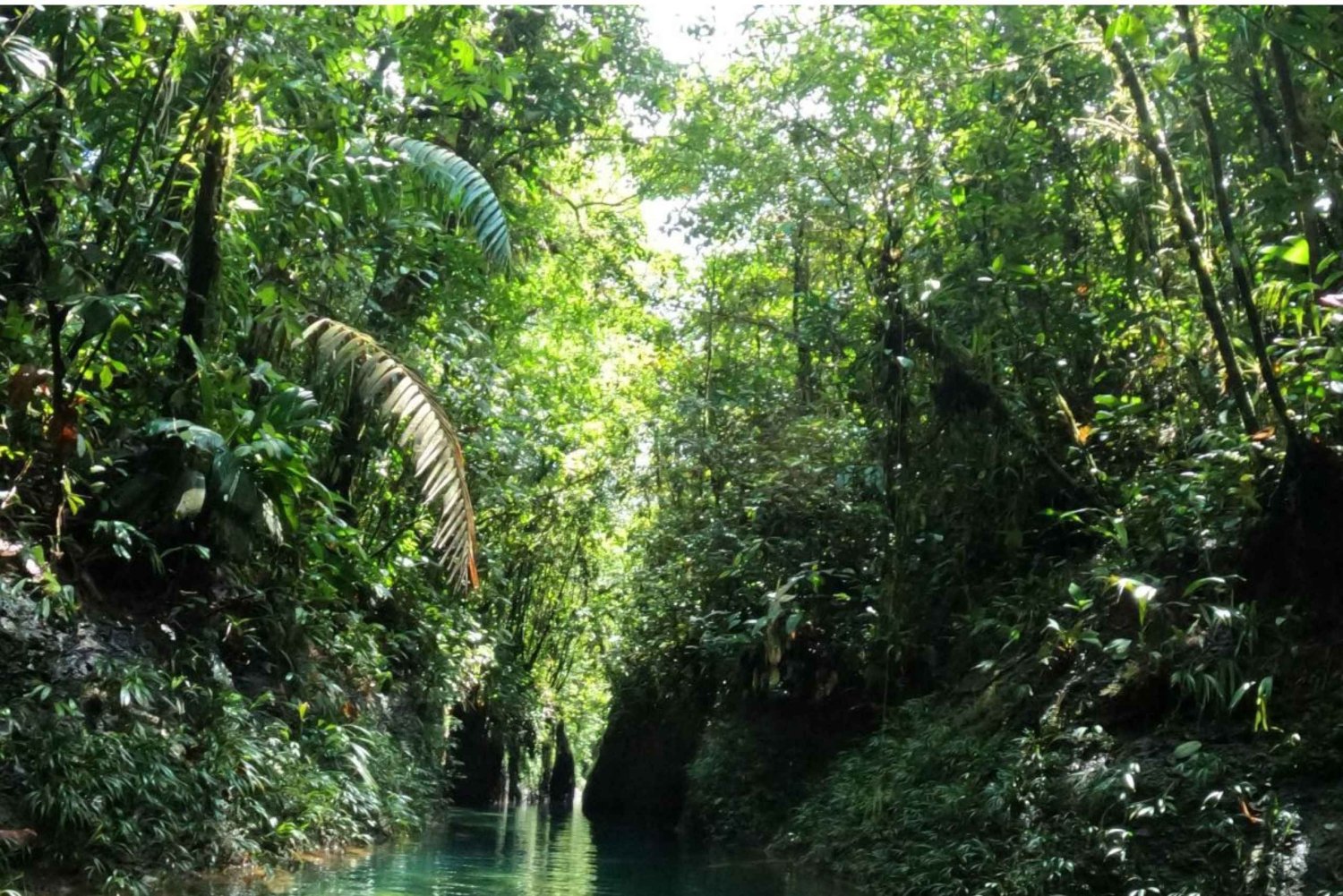 CALI: XCARET COLOMBIANO - Canyon dell'Angostura Valle del Cauca