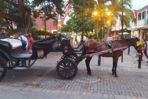 Cartagenassa: COLLONIAL HORSE DRAWN CARRIAGE by THE OLD CITY