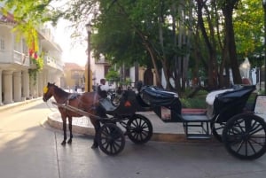 Cartagenassa: COLLONIAL HORSE DRAWN CARRIAGE by THE OLD CITY