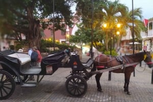 Cartagenassa: COLLONIAL HORSE DRAWN CARRIAGE by THE OLD CITY