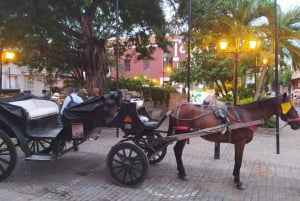 Cartagenassa: COLLONIAL HORSE DRAWN CARRIAGE by THE OLD CITY