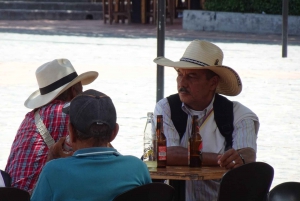 From Medellín: Colonial paradise; private trip to Santa Fé